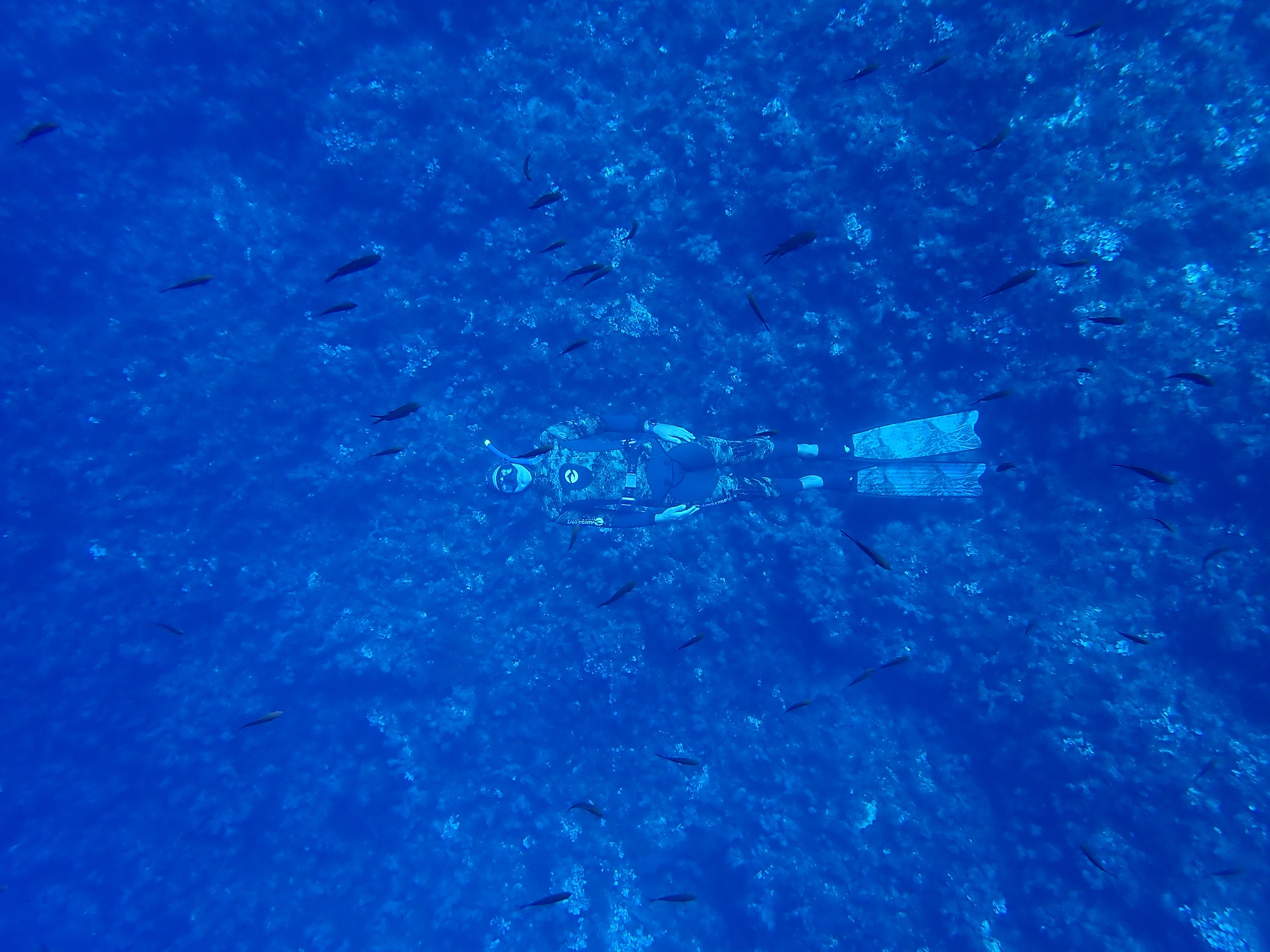 Settimana di pesca in barca a vela