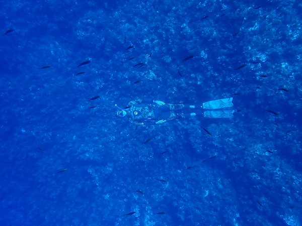 Settimana di pesca in barca a vela