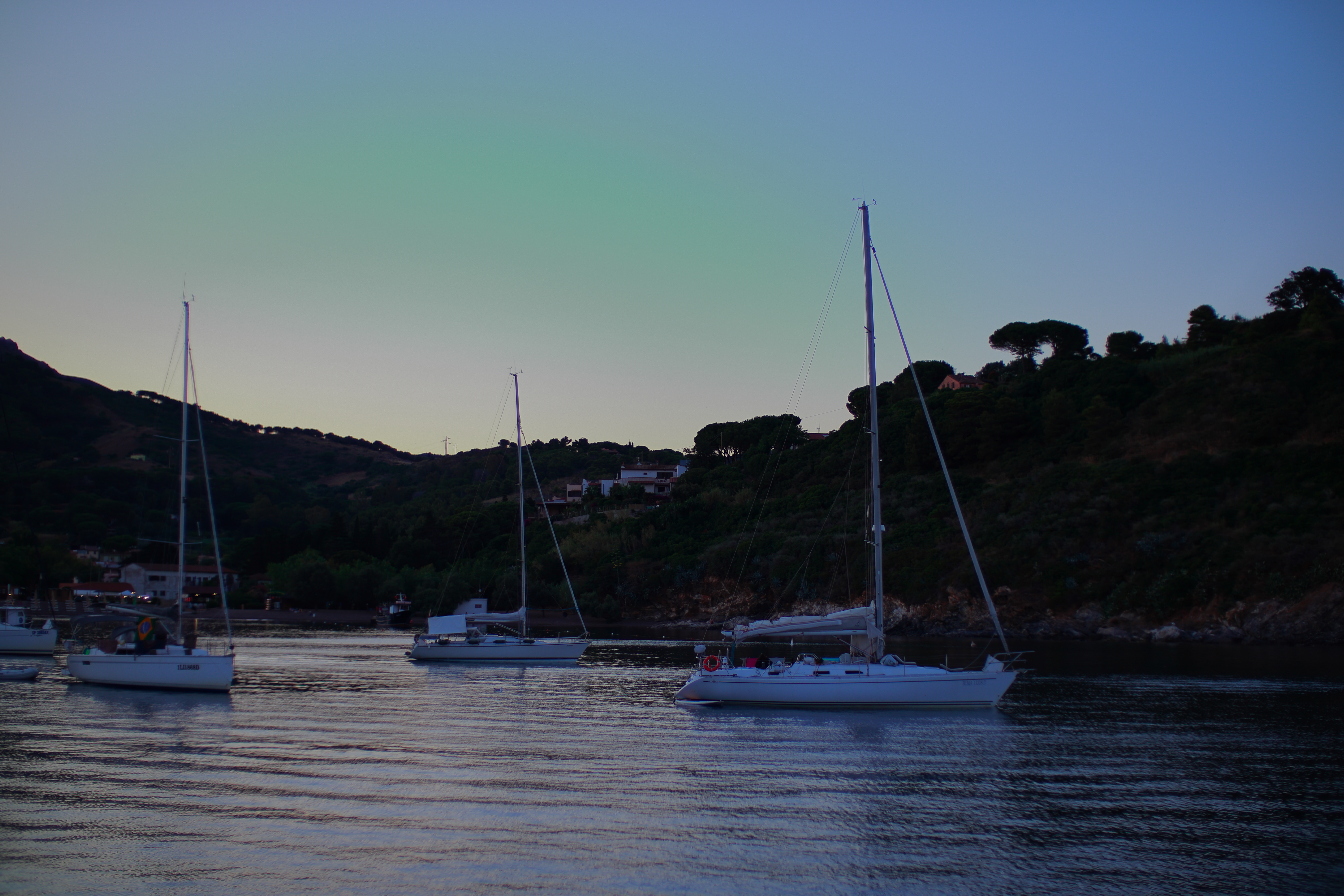 Nord della Corsica e Balene